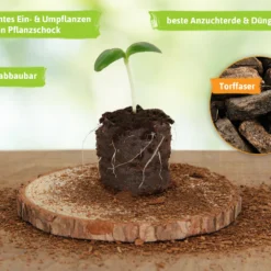 36 Mm Torf Quelltabletten | Torf Quelltabletten Von FLORTUS -Baum Freude Verkäufe 558921 36 mm Torf Quelltabletten 2000 0977 36x 3 1