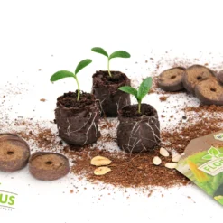 36 Mm Torf Quelltabletten | Torf Quelltabletten Von FLORTUS -Baum Freude Verkäufe 558921 36 mm Torf Quelltabletten 2000 0977 36x 6