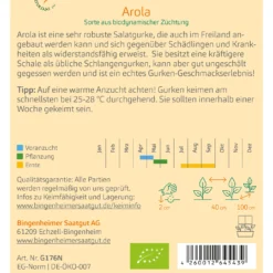 Salatgurke Arola | BIO Salatgurkensamen Von Bingenheimer Saatgut