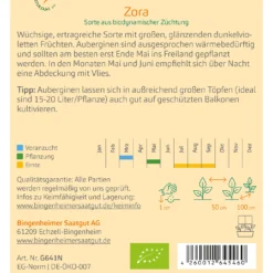 Aubergine Zora | BIO Auberginensamen Von Bingenheimer Saatgut
