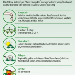 Honig-Melone Honey Bun F1 | Melonensamen Von Samen Pfann