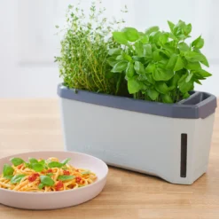 HARRY HERBS Kräutertopf Hellgrau | Kräutertöpfe Von Gusta Garden -Baum Freude Verkäufe 560334 HARRY HERBS hellgrau 100B10 gg 6