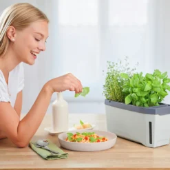 HARRY HERBS Kräutertopf Hellgrau | Kräutertöpfe Von Gusta Garden -Baum Freude Verkäufe 560334 HARRY HERBS hellgrau 100B10 gg 7