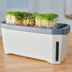 HARRY HERBS Hellgrau Ohne Haube | Kräutertöpfe Von Gusta Garden -Baum Freude Verkäufe 560335 HARRY HERBS hellgrau ohne Haube 100B20 gg 2