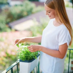 HARRY HERBS Kräutertopf Weiß | Kräutertöpfe Von Gusta Garden 11 HARRY HERBS Kräutertopf Weiß | Kräutertöpfe Von Gusta Garden -Baum Freude Verkäufe 560336 HARRY HERBS weiss 102B10 gg 1