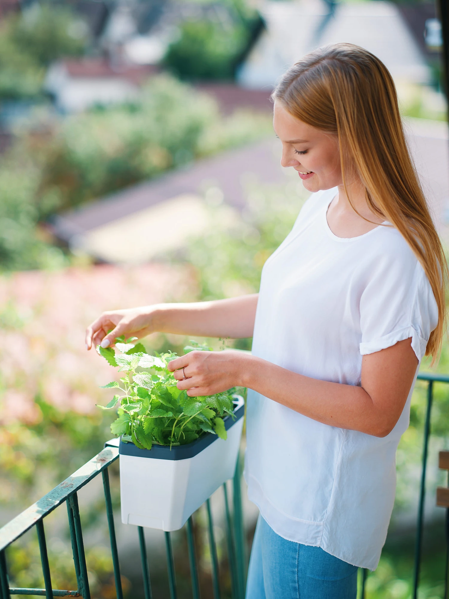 HARRY HERBS Kräutertopf Weiß | Kräutertöpfe Von Gusta Garden 3 HARRY HERBS Kräutertopf Weiß | Kräutertöpfe Von Gusta Garden – Bild 3