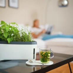 HARRY HERBS Kräutertopf Weiß | Kräutertöpfe Von Gusta Garden 17 HARRY HERBS Kräutertopf Weiß | Kräutertöpfe Von Gusta Garden -Baum Freude Verkäufe 560336 HARRY HERBS weiss 102B10 gg 7