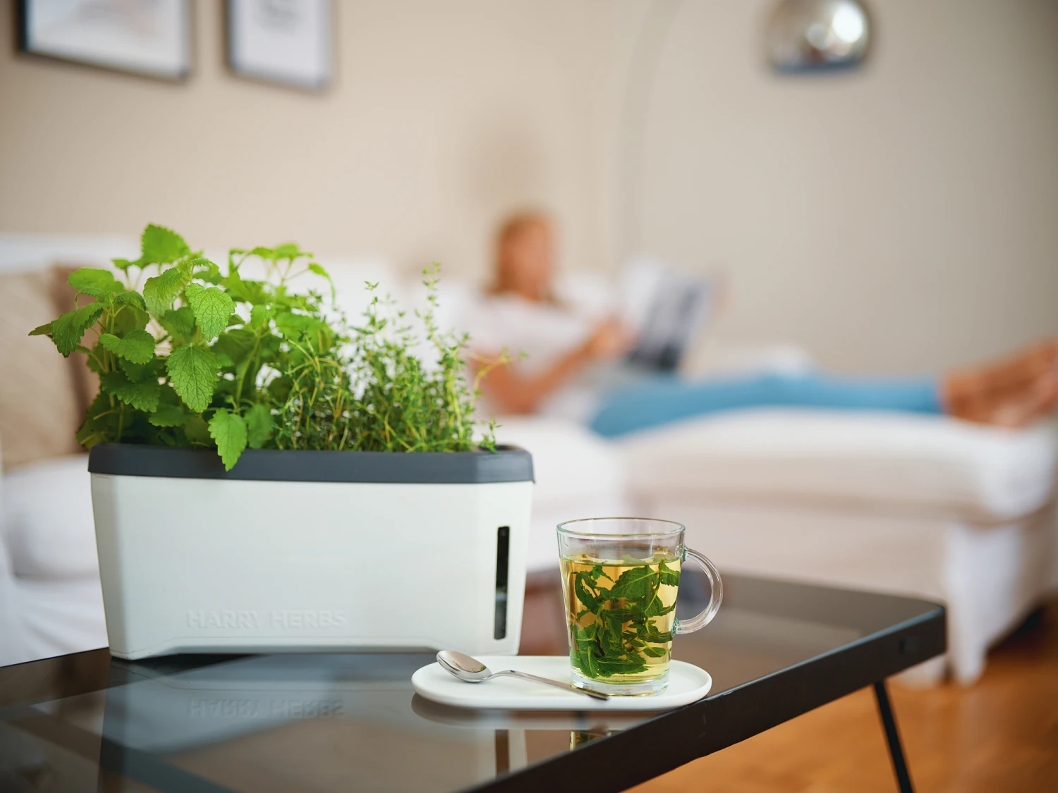 HARRY HERBS Kräutertopf Weiß | Kräutertöpfe Von Gusta Garden 9 HARRY HERBS Kräutertopf Weiß | Kräutertöpfe Von Gusta Garden – Bild 9