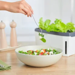 HARRY HERBS Weiß Ohne Haube | Kräutertöpfe Von Gusta Garden -Baum Freude Verkäufe 560337 HARRY HERBS weiss ohne Haube 102B20 gg 5