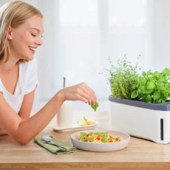 HARRY HERBS Weiß Ohne Haube | Kräutertöpfe Von Gusta Garden -Baum Freude Verkäufe 560337 HARRY HERBS weiss ohne Haube 102B20 gg 8