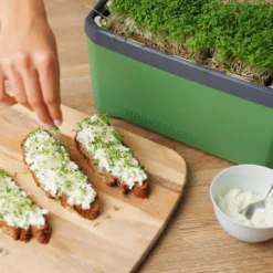 HARRY HERBS Kräutertopf Dunkelgrün | Kräutertöpfe Von Gusta Garden -Baum Freude Verkäufe 560338 HARRY HERBS dunkelgruen 103B10 gg 5