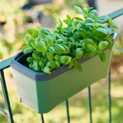 HARRY HERBS Kräutertopf Dunkelgrün | Kräutertöpfe Von Gusta Garden -Baum Freude Verkäufe 560338 HARRY HERBS dunkelgruen 103B10 gg 7