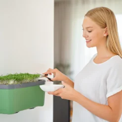 HARRY HERBS Dunkelgrün Ohne Haube | Kräutertöpfe Von Gusta Garden -Baum Freude Verkäufe 560339 HARRY HERBS dunkelgruen ohne Haube 103B20 gg 3