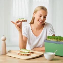 HARRY HERBS Dunkelgrün Ohne Haube | Kräutertöpfe Von Gusta Garden -Baum Freude Verkäufe 560339 HARRY HERBS dunkelgruen ohne Haube 103B20 gg 5