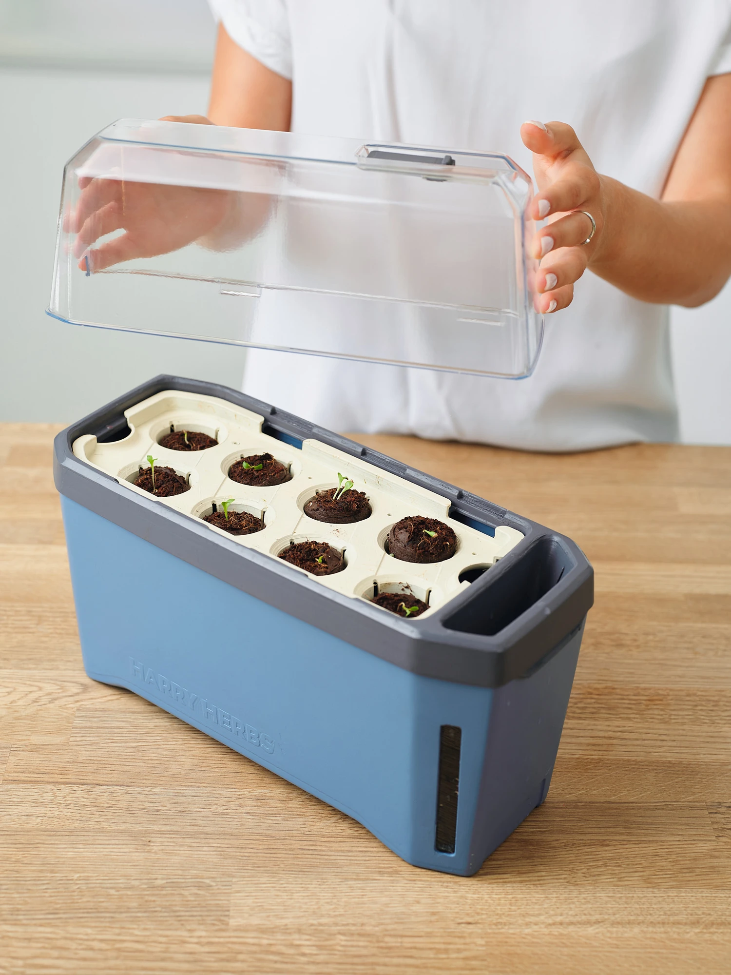 HARRY HERBS Kräutertopf Blau | Kräutertöpfe Von Gusta Garden 7 HARRY HERBS Kräutertopf Blau | Kräutertöpfe Von Gusta Garden – Bild 7