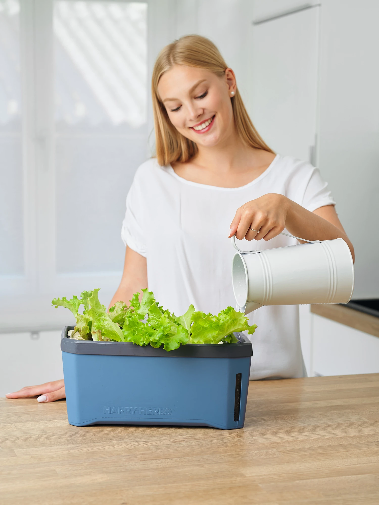 HARRY HERBS Kräutertopf Blau | Kräutertöpfe Von Gusta Garden 8 HARRY HERBS Kräutertopf Blau | Kräutertöpfe Von Gusta Garden – Bild 8