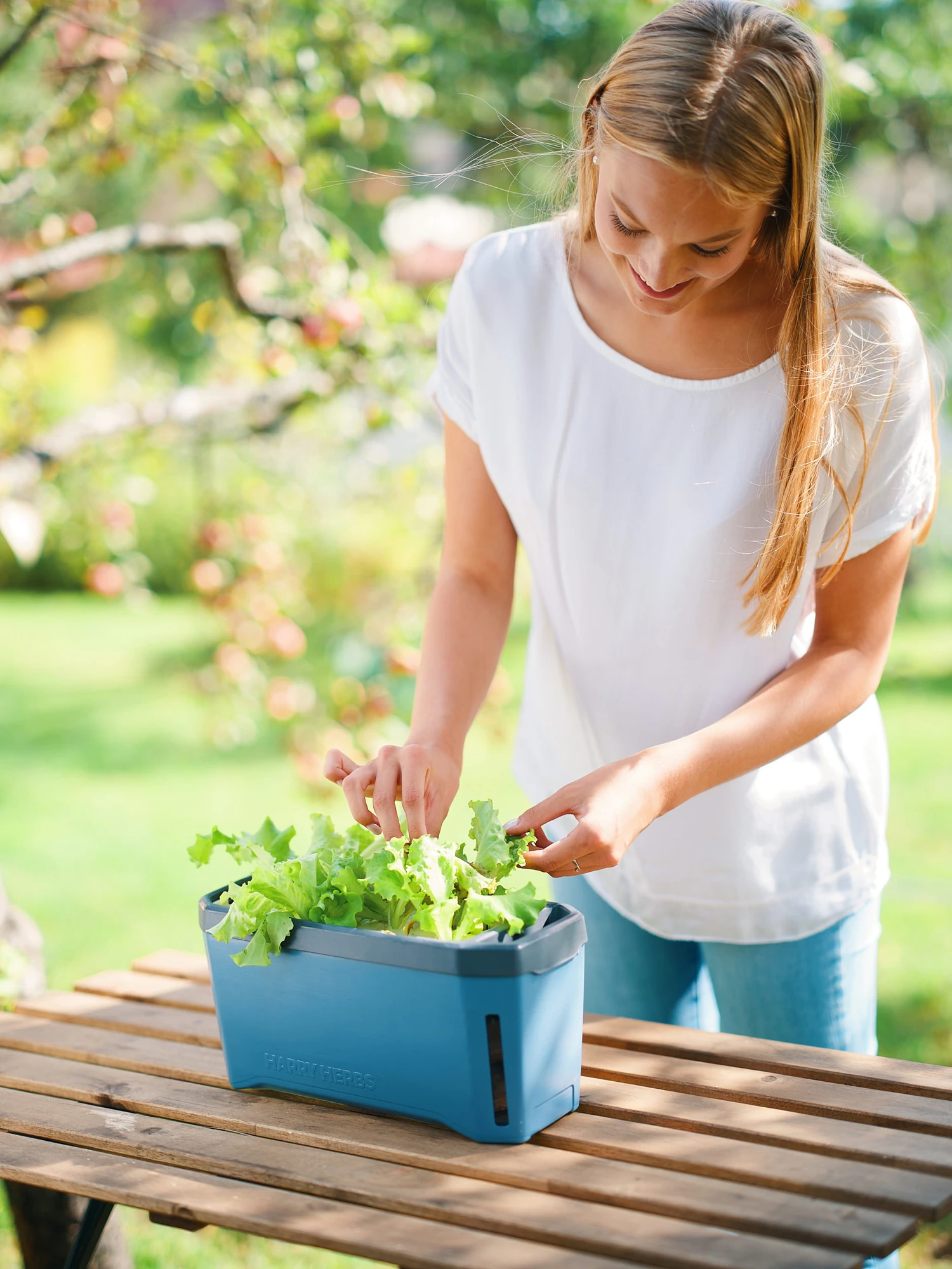 HARRY HERBS Kräutertopf Blau | Kräutertöpfe Von Gusta Garden 3 HARRY HERBS Kräutertopf Blau | Kräutertöpfe Von Gusta Garden – Bild 3