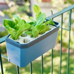 HARRY HERBS Kräutertopf Blau | Kräutertöpfe Von Gusta Garden 19 HARRY HERBS Kräutertopf Blau | Kräutertöpfe Von Gusta Garden -Baum Freude Verkäufe 560340 HARRY HERBS blau 104B10 gg 6