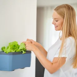 HARRY HERBS Blau Ohne Haube | Kräutertöpfe Von Gusta Garden -Baum Freude Verkäufe 560341 HARRY HERBS blau ohne Haube 104B20 gg 2