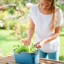 HARRY HERBS Blau Ohne Haube | Kräutertöpfe Von Gusta Garden -Baum Freude Verkäufe 560341 HARRY HERBS blau ohne Haube 104B20 gg 3
