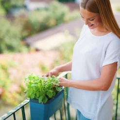 HARRY HERBS Blau Ohne Haube | Kräutertöpfe Von Gusta Garden -Baum Freude Verkäufe 560341 HARRY HERBS blau ohne Haube 104B20 gg 4