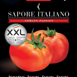 Tomate Sapore Italiano Pomored F1 | Tomatensamen Von BLUMEN Group