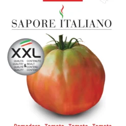 Tomate Pera D'Abruzzo | Tomatensamen Von BLUMEN Group