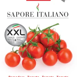 Tomate Ciliegino A Grappolo | Tomatensamen Von BLUMEN Group