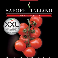 Tomate Sapore Italiano Elisir F1 | Tomatensamen Von BLUMEN Group