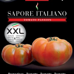Tomate Sapore Italiano Marbella F1 | Tomatensamen Von BLUMEN Group