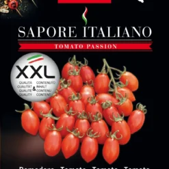 Tomate Sapore Italiano Lucciola F1 | Tomatensamen Von BLUMEN Group