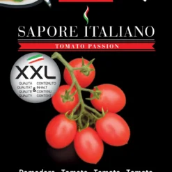 Tomate Sapore Italiano Mandurio F1 | Tomatensamen Von BLUMEN Group