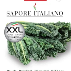 Grünkohl Nero Di Toscana | Grünkohlsamen Von BLUMEN Group