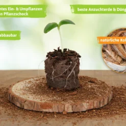 36 Mm Kokos Quelltabletten | Kokos Quelltabletten Von FLORTUS -Baum Freude Verkäufe 560730 36 mm Kokos Quelltabletten 2000 1013 36x 3