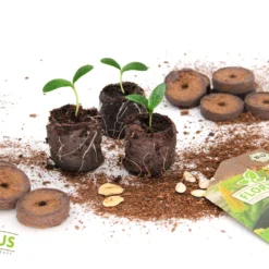 36 Mm Kokos Quelltabletten | Kokos Quelltabletten Von FLORTUS