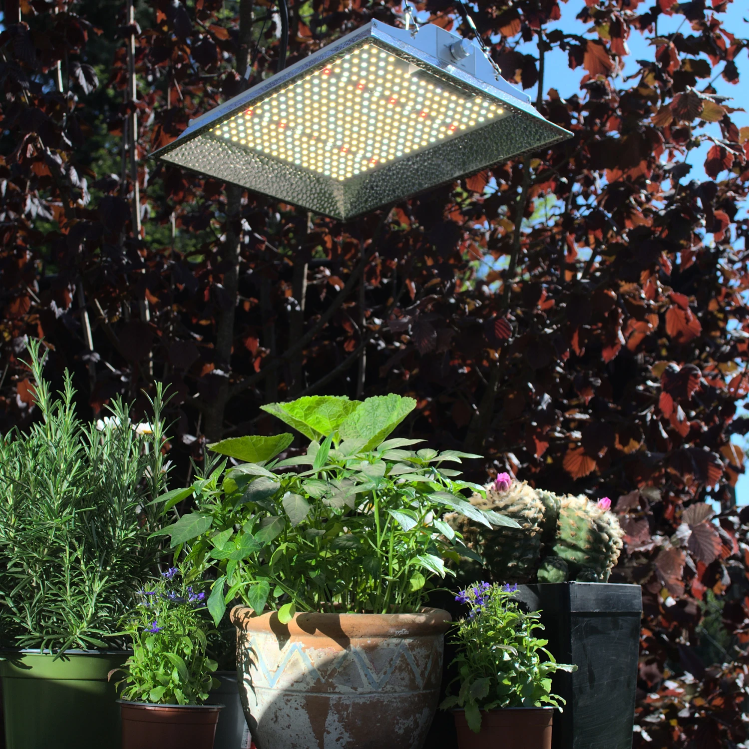 LED Pflanzenlampe Floris | LED Pflanzenlampen Von Neusius 1 LED Pflanzenlampe Floris | LED Pflanzenlampen Von Neusius