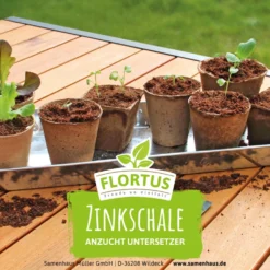Zinkschale (1 Stück) | Anzuchtschalen Von FLORTUS