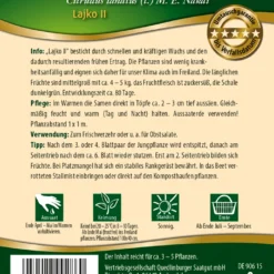 Wassermelone Lajko Ll | Wassermelonensamen Von Quedlinburger