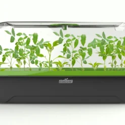 BoQube M &amp; FLORTUS Kokos Quelltöpfe (24 Stück) | Anzuchtzubehör Set Von FLORTUS -Baum Freude Verkäufe 562697 BoQube M und FLORTUS Kokos Quelltoepfe 24 Stueck 2000 2385 anthrazit 2