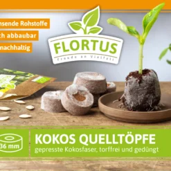 BoQube M &amp; FLORTUS Kokos Quelltöpfe (24 Stück) | Anzuchtzubehör Set Von FLORTUS -Baum Freude Verkäufe 562697 BoQube M und FLORTUS Kokos Quelltoepfe 24 Stueck 2000 2385 anthrazit 4