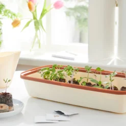 BoQube M &amp; FLORTUS Kokos Quelltöpfe (24 Stück) | Anzuchtzubehör Set Von FLORTUS -Baum Freude Verkäufe 562697 BoQube M und FLORTUS Kokos Quelltoepfe 24 Stueck 2000 2385 kupfer 2