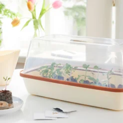 BoQube M &amp; FLORTUS Kokos Quelltöpfe (24 Stück) | Anzuchtzubehör Set Von FLORTUS -Baum Freude Verkäufe 562697 BoQube M und FLORTUS Kokos Quelltoepfe 24 Stueck 2000 2385 kupfer 3