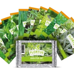 HARRY HERBS &amp; FLORTUS Kräuter Set | Anzuchtsets Von FLORTUS -Baum Freude Verkäufe 562699 HARRY HERBS und FLORTUS Kraeuter Set 2000 2387 blau 7