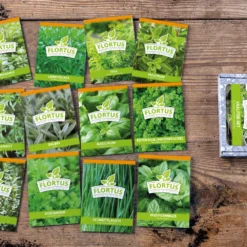 HARRY HERBS &amp; FLORTUS Kräuter Set | Anzuchtsets Von FLORTUS