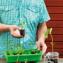 36 Mm Kokos-Quelltabletten Sparkarton 1.500 Stück (unbedruckt) | Kokos-Quelltabletten Von Romberg