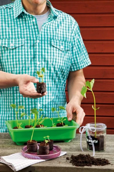 36 Mm Kokos-Quelltabletten Sparkarton 1.500 Stück (unbedruckt) | Kokos-Quelltabletten Von Romberg 1 36 Mm Kokos-Quelltabletten Sparkarton 1.500 Stück (unbedruckt) | Kokos-Quelltabletten Von Romberg