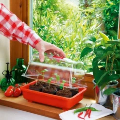 Zimmergewächshaus Veggie | Zimmergewächshaus Von Romberg -Baum Freude Verkäufe 832