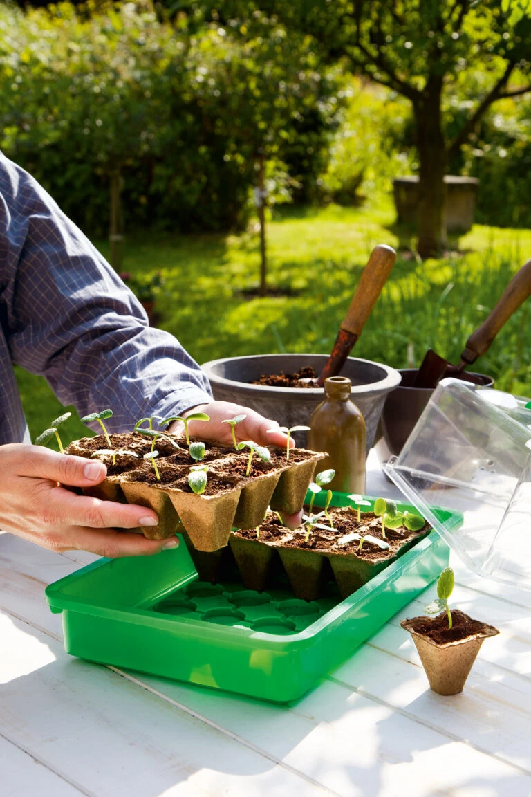 Baum Freude Verkäufe -Baum Freude Verkäufe 1